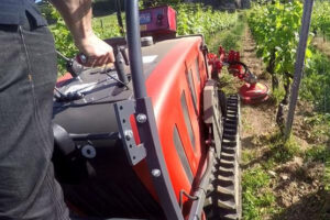 Wein Herbizide