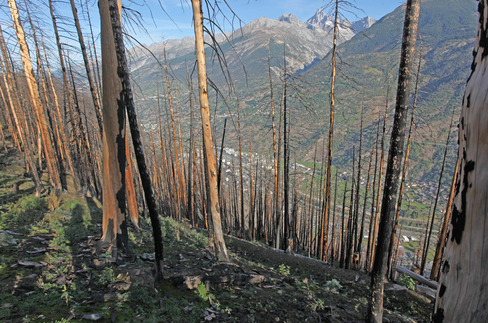 10. Jahrestag des Waldbrandes in Visp