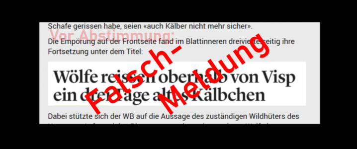 FAlschmeldung Walliser Bote Bregy