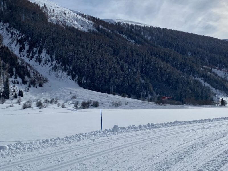 Lawine in Oberwald-Löwwenegraben: