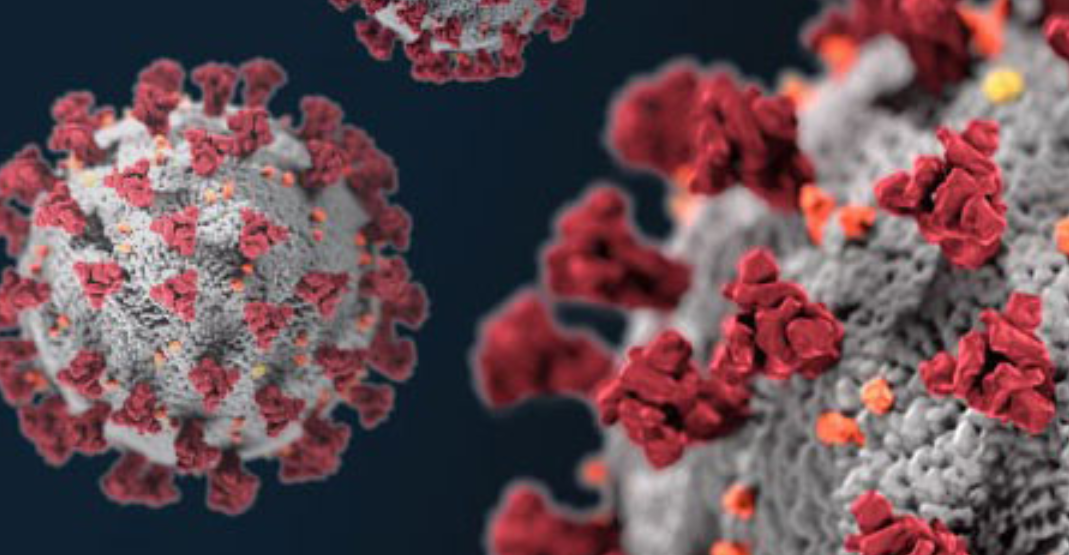 Coronavirus-Antikörper schon 2021 bei 9 von 10 Wallisern