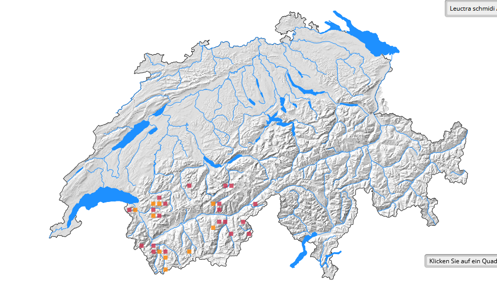 Oberwallis: Steinfliege siegt vor Bundesgericht