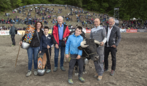 Eringer kuhkämpfe Kuhkampf Wallis