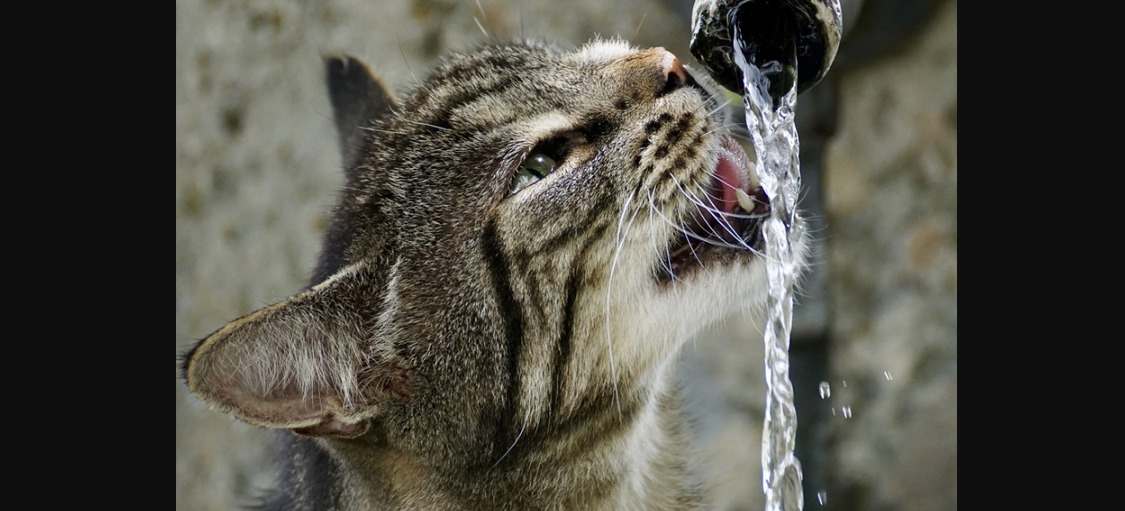 Wasser Obergoms