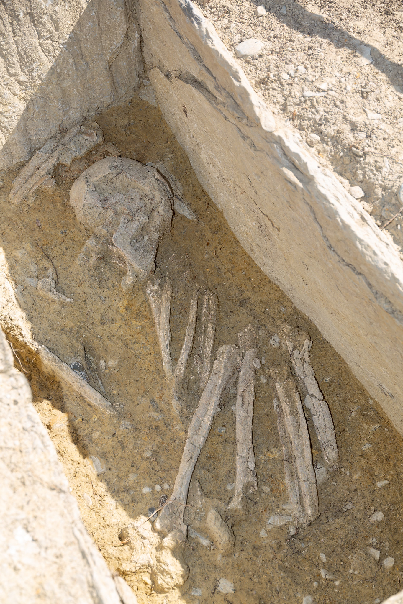 Fund einer bedeutenden prähistorischen Nekropole in Savièse