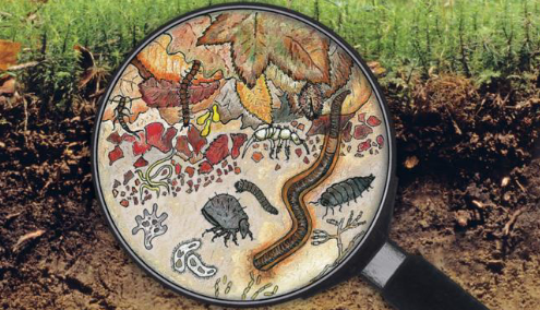 Sounding soil