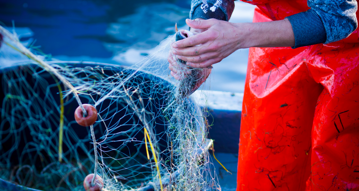 Internationale Kommission für die Fischerei im Genfersee