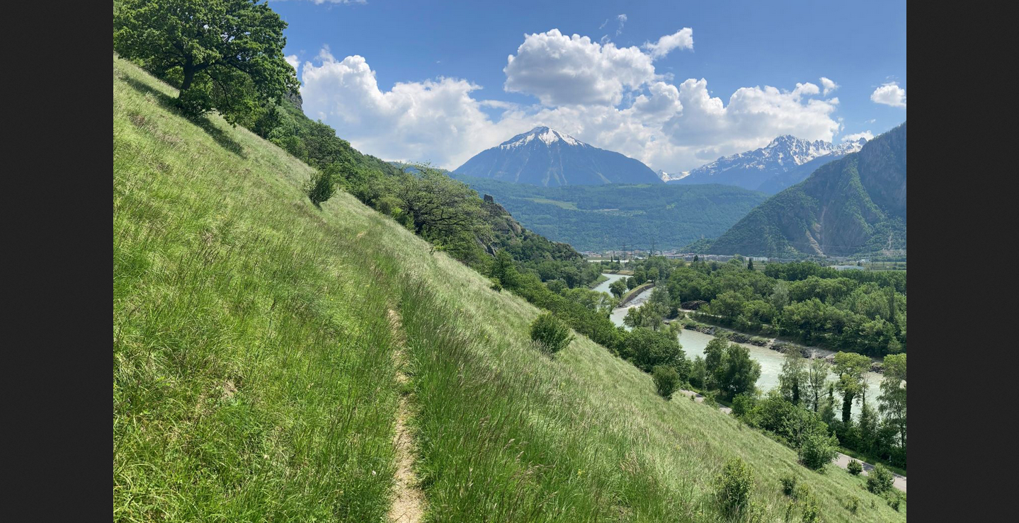 Fuß des Mont Rosel in Dorénaz: Natur stoppen, Trockenwiesen wiederherstellen