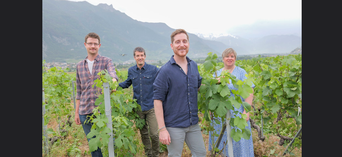 Walliser Weinbau von morgen