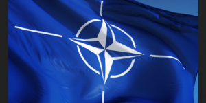 Nato Schweiz