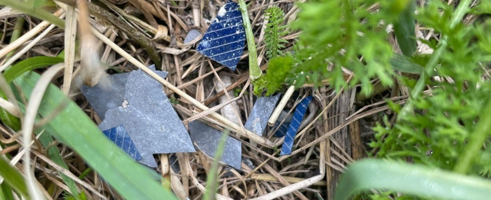 Natur von Vétroz immer noch verunreinigt