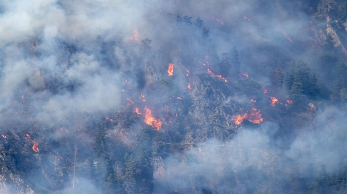 Waldbrand Bitsch