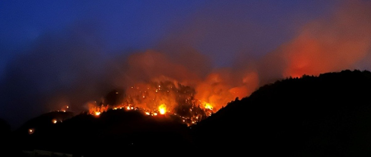 Waldbrand bitsch