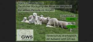 Wolf Schweiz Risse
