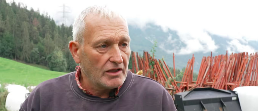 Oberhalb von Brig: Wolf illegal geschossen