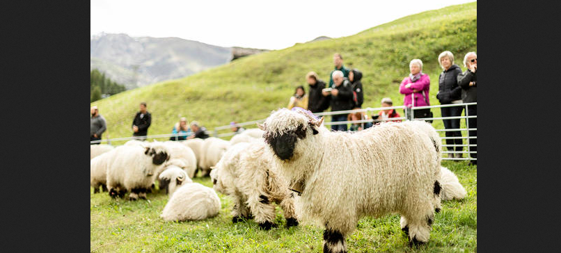 Schäferfest Zermatt