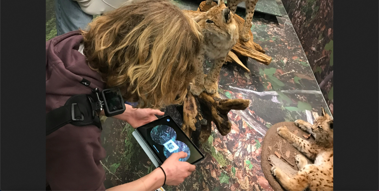 Dienststelle für Kultur: Spielend lernen im Naturmuseum Wallis