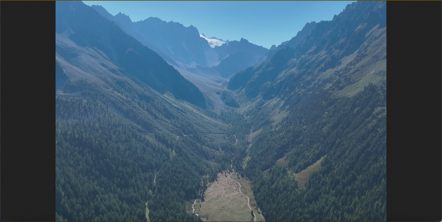 Gemeinde Orsières: Schaffung des Waldreservats «Val d’Arpette» – Keine Forstwirtschaft, dafür andere Eingriffe statt natürliche Naturentwicklung