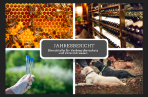 Jahresbericht Dienststelle für Veterinärwesen und Verbraucherschutz