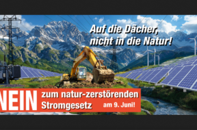 Naturkomitee Gegen das Stromgesetz