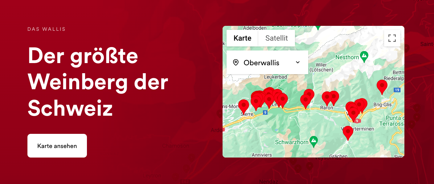 Vorstellung des neuen Jahrgangs – Offene Weinkeller bis SamstagWeine mit Charakter, genau wie ihre Winzer