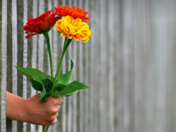 Bildschirmfoto 2024-05-10 um 14.13.29