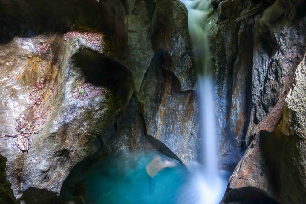 Festival der Natur 2024Das Trient-Tal offenbart seine Reichtümer, von der Arpille bis zur Cime de l'Est