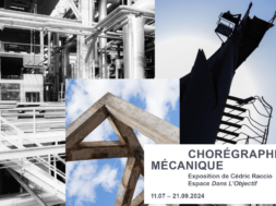 Chorégrahie Mćanique