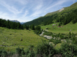 Binntal-Foot Wallis