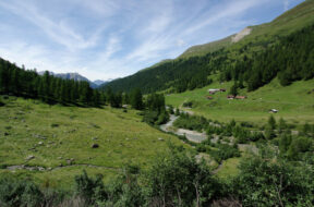 Binntal-Foot Wallis