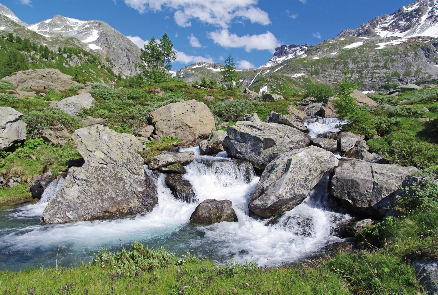 Der Mässerbach – wild, ursprünglich und ungezähmt. Foto: Brigitte Wolf (zvg)