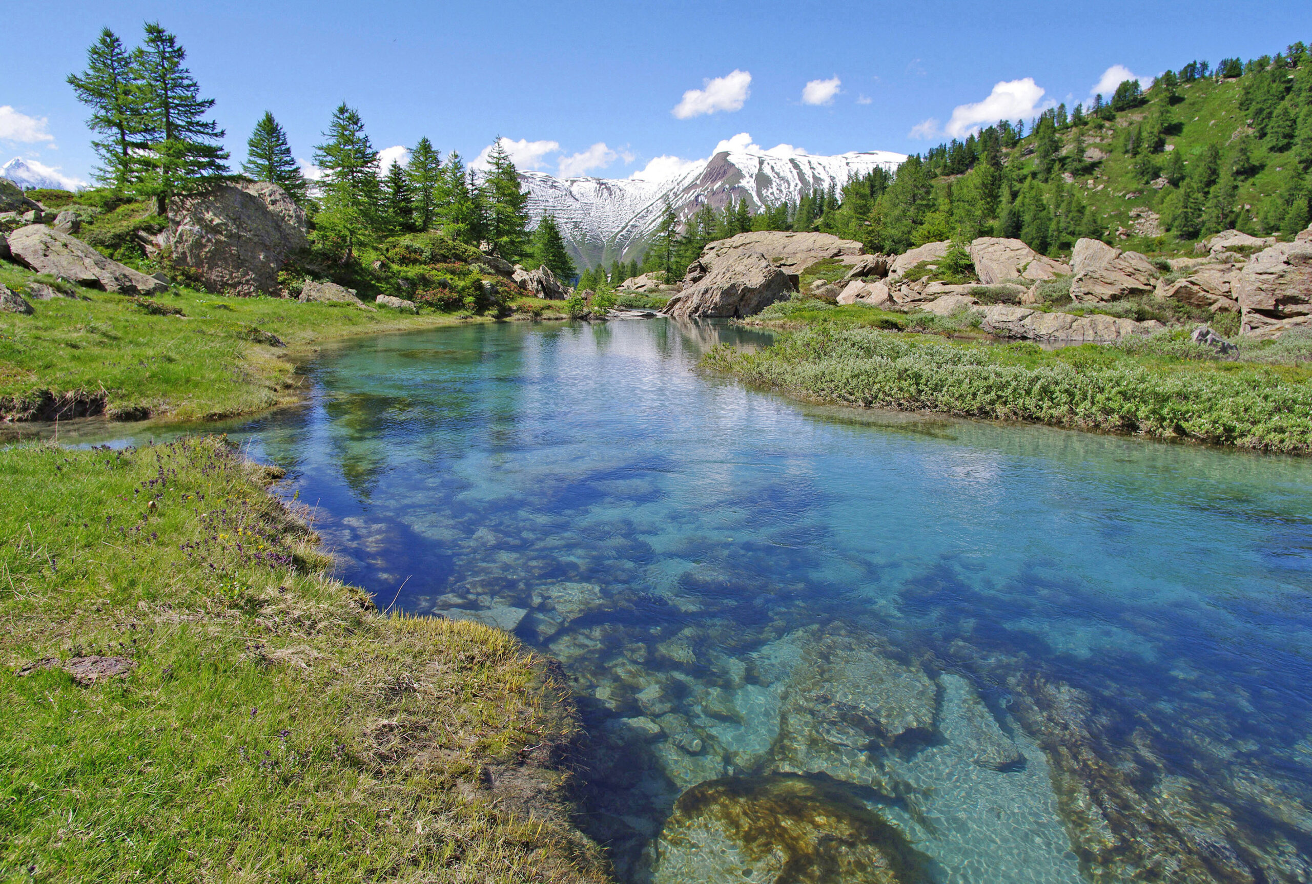 Auszeichnung für den Mässerbach im BinntalWild, ursprünglich und ungezähmt