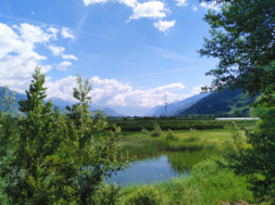 Marais Ardon