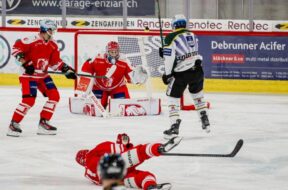 EHC Visp Olten