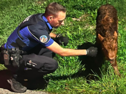 Tierrettung Polizei