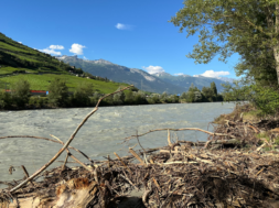 Unwetter SChadensaufnahme Treibholz