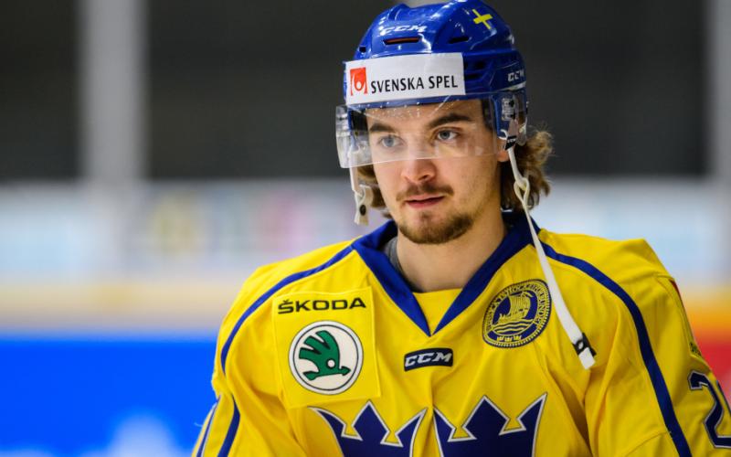 Der EHC Visp verstärkt sich bis Ende Saison mit Adam BrodeckiVon Finnland in die Schweiz