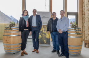 1SteinFully Darbellay