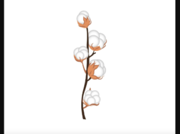 Bildschirmfoto 2025-01-08 um 21.05.34