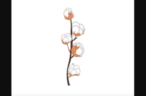 Bildschirmfoto 2025-01-08 um 21.05.34