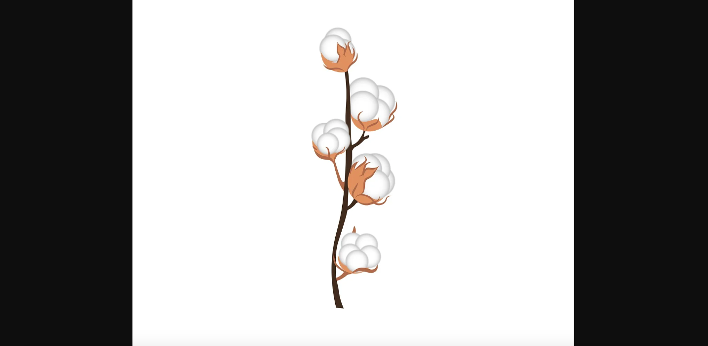 Baumwolle-VerbotMehr als nur Stoff: Baumwolle symbolisiert den Aufstieg und Niedergang Europas