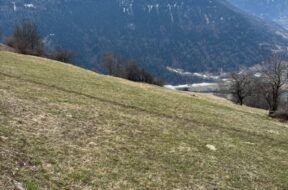 2025-02-24-Levron-768×1024