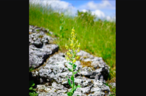 Bildschirmfoto 2025-02-15 um 14.49.01