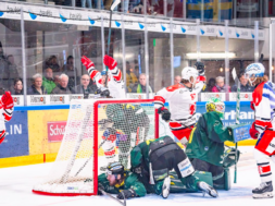Visp gewinnt auch Spiel 3