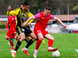 Freundschaftsspiel FC Sion – Stade Nyonnais
