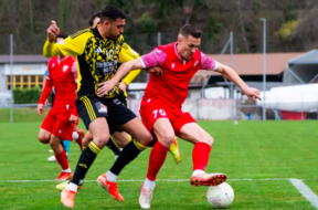 Freundschaftsspiel FC Sion – Stade Nyonnais