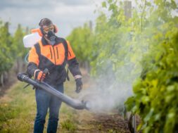 Fachbewilligung Pestizide Pflanzenschutzmittel
