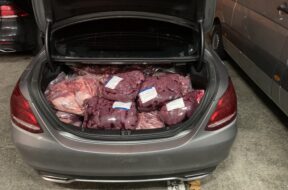 Fleischschmuggel Zoll SChweiz 1