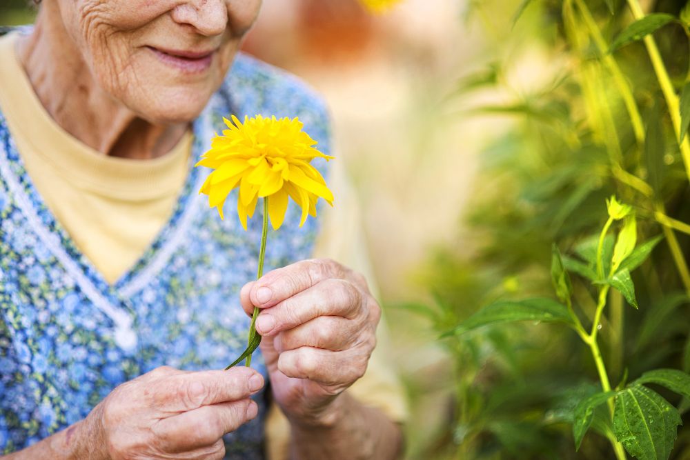 Generationen 60+: Gesundheits- und sozialpolitische StrategieBetroffene Personen können sich zum Gesetzentwurf Generation 60+ äußern