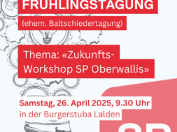 250426_Frühlingstagung_Zukunftsworkshop